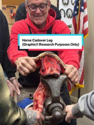 It takes a special kind of person to become an equine podiatrist. Learning equine hoof anatomy on codavor legs.  #creatorsearchinsights  #oklahoman #newstate #kentucky #freshstart #equinepodiatryschool #teamwork #whoiskriswilliams #trending #fyp #followme 