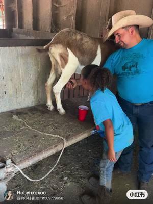 #goatmilk #ranchlife #tios #blackmexican #mexico🇲🇽 #fypシ゚viral #donaldtrump #MLKDay 