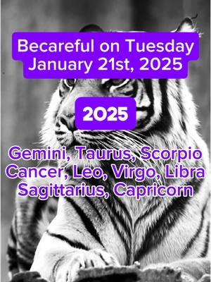 Becareful on Tuesday January 21st, 2025 #zodiacsigns #zodiacs #zodiacsignz #zodiac #zodiacsignsaesthetic #astrology #astrologytok #universemessage 