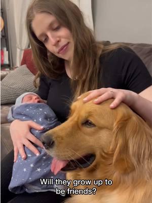 A boy and his dog. This is just the cutest stage. 🥹❤️😭 I knew it would be special and cute, but didn’t realize the extent. #boyandhisdog #goldenretriever #dogsandkids #babyanddog #BestFriends 