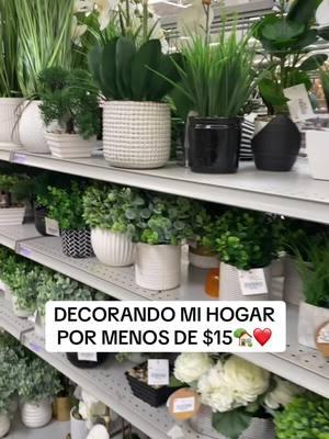 síganme para más contenido ❤️ #burlington #burlingtonfinds #burlingtoncoatfactory #burlingtondeals #ross #rossdressforless #rossdressforlessfinds #rossdressforlesshaul #dds #ddsdiscounts #ddsdiscountsfinds #ofertas #decompras  #greenscreen #ofertas #deals #fyp #TikTokShop #usa #original #tiktoklive #creatorsearchinsights #livehighlights #creator #LIVEHighlights #LIVEIncentiveProgram #PaidPartnership  #LIVEHighlights #LIVEIncentiveProgram 