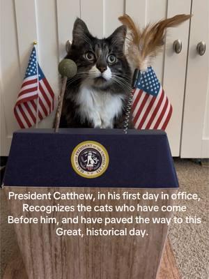 #president #catthew and his first executive order