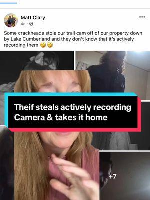 Bad Day to be a Thief 😂😂😂 #camera #thief #caughtoncamera #truecrimestory #funnyvideo #humorous #lol #dumb #criminal #lakecumberland #trailcam #stolen 