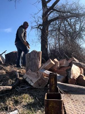 Yes I own a log splitter, but I still prefer to split by hand. #fiskars #fiskarsaxes #splitingwood #farmtok #woodburner #cuttingwood #stihl #bluecollar 