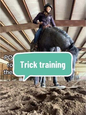 Pretty handy horse trick if you like to throw a rope! #ropehorse #teamroping #breakawayroping #breakawayhorse #horsetraining #horsetrainer #blueroan #blueroanhorse #horses #horse 