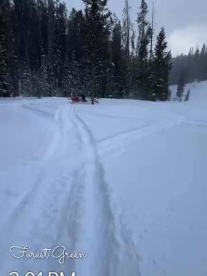 @philopatz taking @Bret Moulzolf and I to all the untouched meadow’s. #lynx #polaris #skidoo #montana #keshaislife 