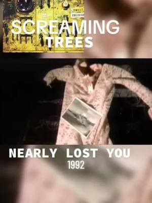 1️⃣9️⃣9️⃣2️⃣ SCREAMING TREES | NEARLY LOST YOU #screamingtrees #nearlylostyou #1992 #92 #90s #90sthrowback #90smusic #grunge #trending #viralvideo #fyp #fypシ #90svibes 