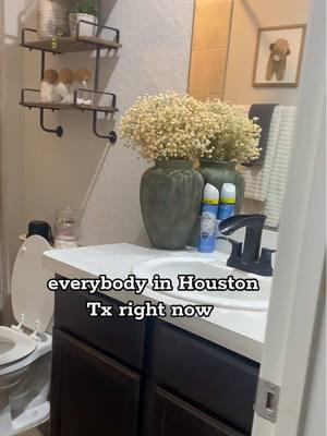 Everybody in Houston right now 😭 #winterstorm #snow #freeze #houstonfreeze #houstonwinterstorm #texas #houstontexas #antarcticblast #texasfreeze #texaswinterstorm #Home #hometips #faucettips #restroom #kitchen #faucet #protecthome #january #centerpoint #grid #frozenpipes #pipes #sink 