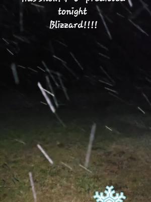 We have snow north of silsbee, TX. 20 Miles north of i10 in beaumont.  45 min from the gulf coast! #409 #over50club #genx #fyp #jeepgirl #56 #over50 #dawnem68 #cold #texas #winterstormwarning2025 #gulfcoast #southeasttexasgulfcoast #winterstorm2025 #tiktok #southeasttexas #snow #winterstormwarning #blizzard #setxblizzard2025 #southeasttexaswinterstorm 