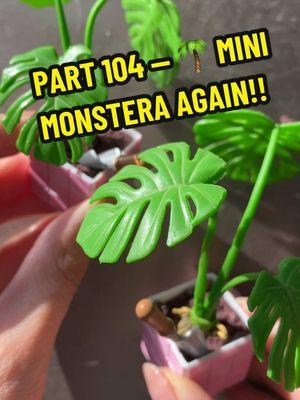 Replying to @Sara Khlide 😇❤ OMG ANOTHER DUPLICATE 🥺🌴🌴 #miniverse #makeitmini #miniversemakeitmini #miniverselifestyle #miniplants #monstera #asmr 