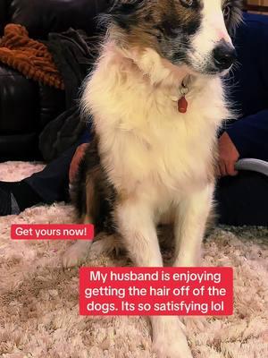 #doggroomingtips #bxyy #dogvacuum #doghairremoval #dogs #creatorsearchinsights #cutedogs #cutedogsoftiktok #cleaninghouse #hairremovalhack #animallovers #animallover #tiktokmademebuyit #tiktokshopfinds 