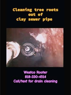 Need a plumber? Got plumbing questions?  🚰💪 Contact Westco Rooter for all your plumbing needs! 818-330-4514 🚿Plumbing repairs 🚽Trenchless sewer replacement  🚰Water damage mitigation #ModernPlumbing #PlumbingLife #PlumbingTools  #PlumbingVideos #Plumbers  #HomeImprovement  #HomeOwners #LocalPlumbingCompany #DrainCleaning #SewerSnaking #PlumbingServices #CloggedDrain #DrainMaintenance   #PipeCleaning #EmergencyPlumbing #SewerCleaning #BlockedDrain #DrainRepair #Picote #ChainSnake #HydroJetting #PreventativeMaintenance