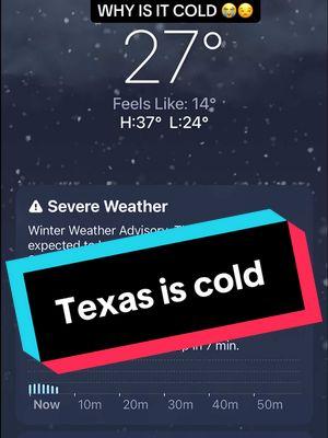 Outside won’t even HEAR me in this weather. #fyp #thepaddyfam #texasweather #texassnow #texaswinter 