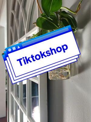 Glass Wall Vase For Plants Indoor Hanging Propagation Planter. #TikTokShop #indoorwallplant #wallart  #wallplant #plantlovers #PlantTok #plantpropagation #plant #plantdecorideas #propagationstation #plantsoftiktok  #youneedthis #tiktokshopfinds #tiktokfind #tiktokfinds #diyproject 