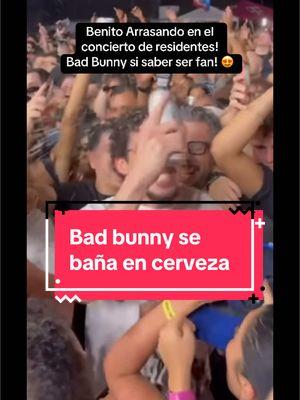 #creatorsearchinsights #badbunny #benito #residentes 