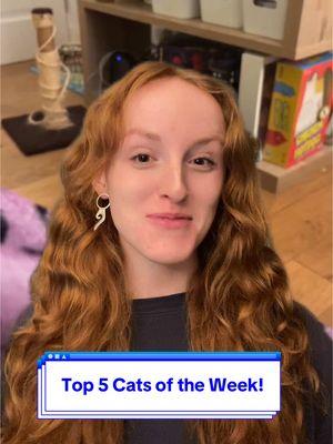 Top 5 Cats of the Week!! This week’s cats: @KeeleyMartinez @madimcdonald1010 @Jyn @TheBurtonBunch @Sierra Starr 🍒  IB: @weratedogs  #cats #cutecat #funnycat #catsvideo