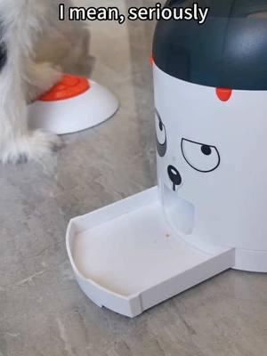 Now my dog eats food with this dog feeder toy#dogtoy #potaroma #dogfeeder #smartdog #doglover #puzzle #dogowner #dogsoftiktok #cutedog 