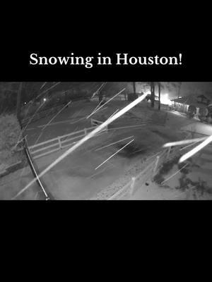 The driveway is almost covered. Not much compared to northern snow storms- but this is a lot for Houston! I mean Jim Cantore is here so it’s gotta be a good storm! @The Weather Channel #jimcantore #bighorsefarm #bighorsefarmcompany #bighorsefarmcompanyllc #weatherchannel #bighorsefarm #bighorsefarmcompany #bighorsefarmcompanyllc 