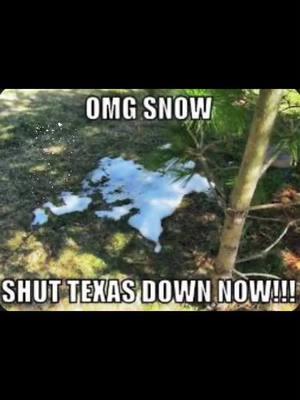 🤣 #houstonwinterstorm #texas #Htown #winter #wintermix #fyp #foryoupage #fypシ #risky #southeast  #tx #explorepage #trending #icy #roads #safety #htx 