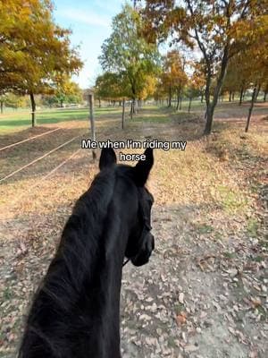 I’m always the happiest 🥰 #horserider #equestrian #myhorse #horsesontiktok #horseriding #trailride #barn #riding #nature 