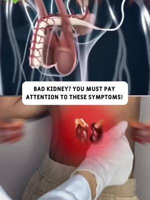 #kidneyfailure #kidneystone #kidneyhealth #kidney #Recipe #kidneycancer #fyp #health 