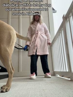 I think he actually is judging me… #snowday #socold #dog #collegedog #shelterdog 