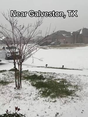 We are not use to this in SETX.  What is this white stuff?! 🤣🤣#fyp #thatmomamy #holycrap #itssnowingintexas #snow #cold #toocoldforme🥶 