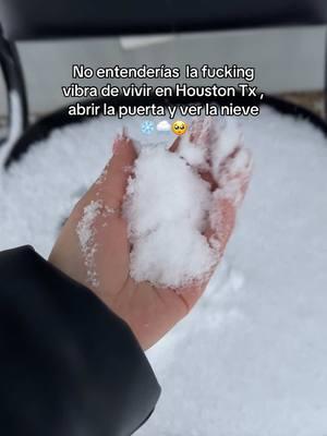 Todos los de Houston estamos así de emocionados en este momento ajjajaja 🙂‍↕️🥶❄️ #nieveentexas #nieveenhouston #houston #snow #nieve #winter 