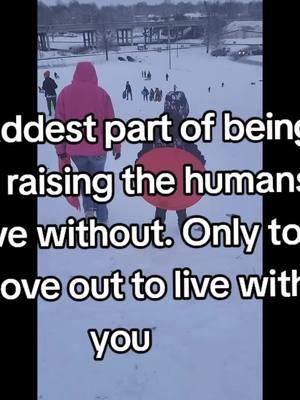 #fyp #fypシ #viralvideo #sledding #snow2025 #myhumans #bestiesforlife it's bitter sweet to think about 😪❤️