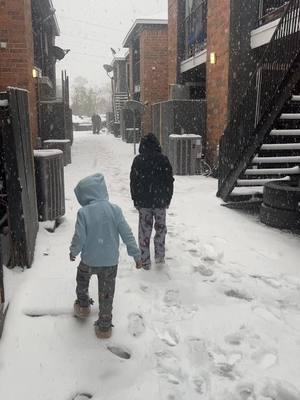 #nevado en Houston