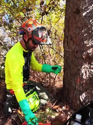 Just like you go to the doctor. #arborist #urbanforestry #treedoc #injections #arborjet #chemicals #treecare #treeindustry #phc 