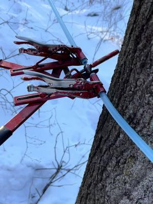 Our most famous video! 🍁 Two handed maple syrup tubing tool for the win. #maplesyrup #sap #workingoutside #inthewoods #woodliferanch #tiktok #fyp #2023 #newengland #winter 