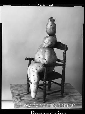 My dad sees things differently. He has taught me to slow down, and be an observer. We all need perspective, to take a collective breath, and do the work. #MentalHealth #film #peace #leicacamera #blackamdwhitefilm #filmtok #potatoes #produce #art #nature #sinar #perspective #williamhartingphotography 