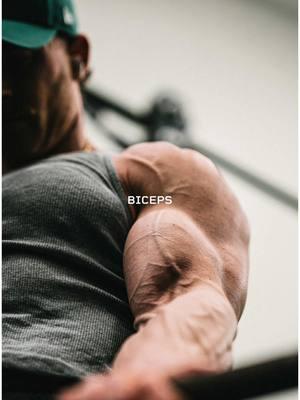 Bicep Variations 🔀 Freė week of my full workouts in bio. #bicepcurl #variation #curlsroutine #bicepvein #shred #GymTok #gymworkouts     Here are four effective curl variations to throw into the mix next time you’re training biceps.  1️⃣ Spider Curl 🎯Biceps (shortened position) 2️⃣ Alternating Supinated Curl  🎯Biceps, Brachialis  3️⃣ Barbell Curl 🎯Biceps (mid position) 4️⃣ Preacher Curl 🎯Biceps (shortened position)