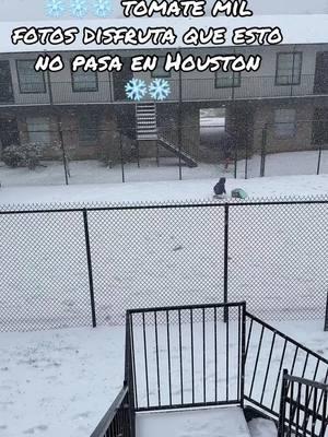 #fypシ゚viral #❄️❄️ #houston #frio #sigueme_para_mas_videos#nievehouston #welcomebacktixtox#😂😂😂