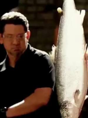 Boom Boom Sushi anyone?  #fishhead #fishslice ##forgedinfire #tvshow ##SharpnessTest #dougmarcaida #fyp #foryou #funny