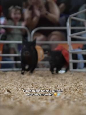 race y’all outside 🏃‍♀️💨 #rodeohouston #houston #houstonfreeze #rodeo #pigraces 