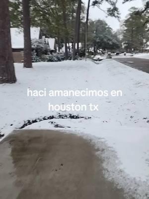 amanecimos con mucha nieve #housto tx#nieve