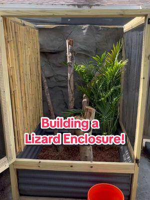 Epic Lizard Enclosure Build!!!🦎 #frillednecklizard #frilleddragon #lizard #reptile #enclosure #DIY #build #fyp