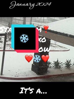 OMG… what a treat! #snow for Snow 🙌 ❄️❄️❄️ #snowday  #tiktok #positivity #queen #snowflakesandcheesecakes ❤️❄️❤️ @Griffin O'Neal #fyp 