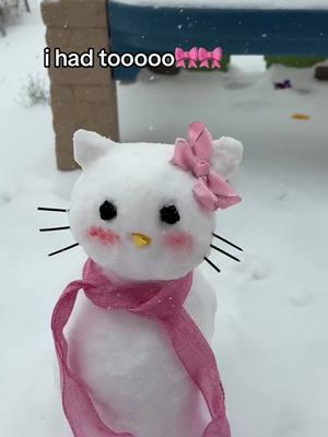 the most snow we ever got, i had to take advantage 🩷  #snowinginhouston #iheartjanelle #fyp #hellokitty  @sanrio 