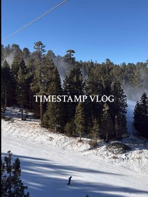 🐻 // @Hampton Water Rosé #timestamps #timestampvlog #bigbear 