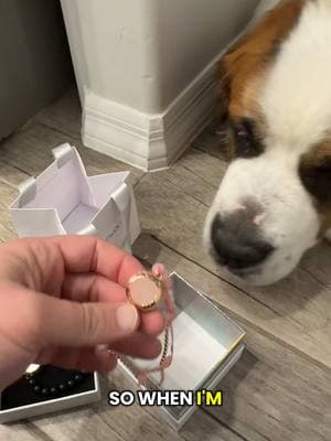 Baby Loves Bracelets 🥰 #dogsoftiktok #saintbernard #dogbreed #totwoo #funny #fyp