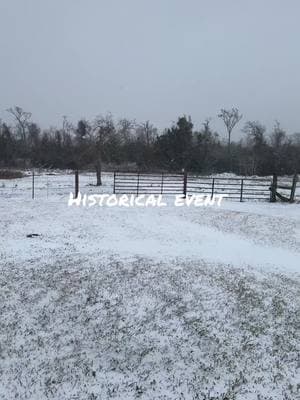 Crazy we got snow before moving to Texas in NC first snow we had in 4 years swore the kids would never see snow again and here we are a month later getting snow in Texas. #historicalsnowstorm #texassnowstorm #snow #snowintexas 