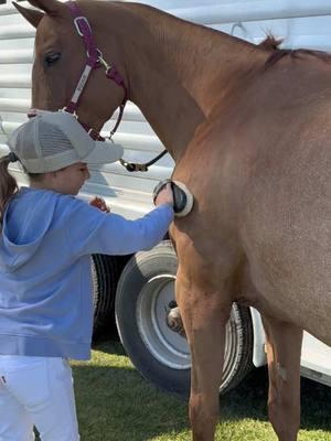 Horses. Polo. Friends & Family. Repeat. Basically sums up the weekend #ocpolo #ocpc #poloponies #playpolo #empirepoloclub #horses #ranchoarroyopolo #ilovepolo #CapCut 