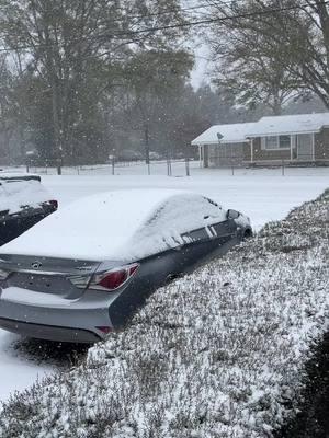 #foryoupage #snow #southbama #thick #cold #yellowsnow 