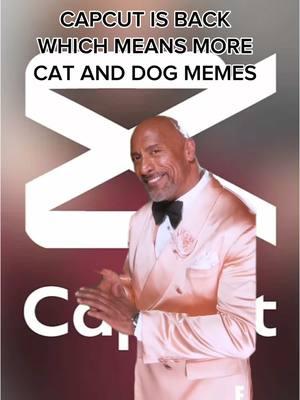 WE ARE BACK HERE AT LOOTPAW!! #catmemes #catmemesdaily #catmemesforlife #funnycats #funnycatsoftiktok #memes #meme #comedy #funny #fyp #fypシ #therock 