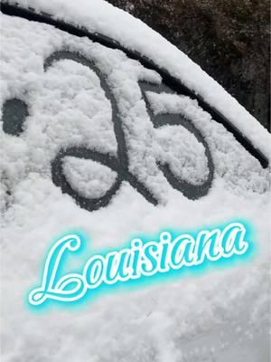 It’s really snowing in southern Louisiana!!! #grateful #snow #snowinginlouisiana #2025 #snowday #louisiana #cantbelieveit #covingtonla #beautiful #funnyvideo #letsgo 