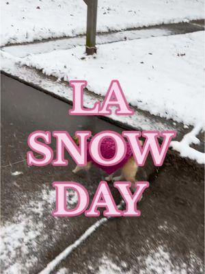 #louisianasnowday #snow #snowday #firstsnow #dogsfirstsnow #snowfall 