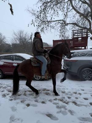 #raulhernandez #corridos #nieve #houston #needvilletx 